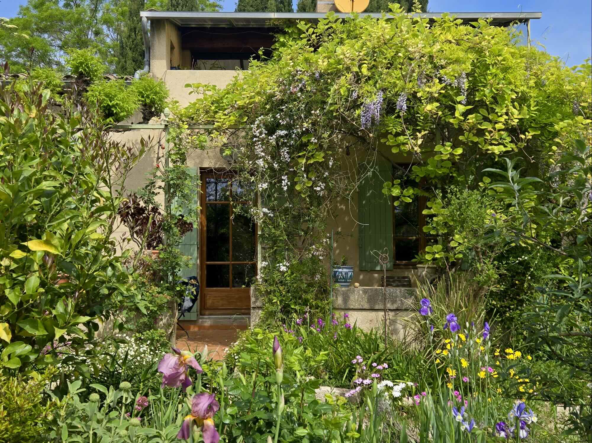South side of the house