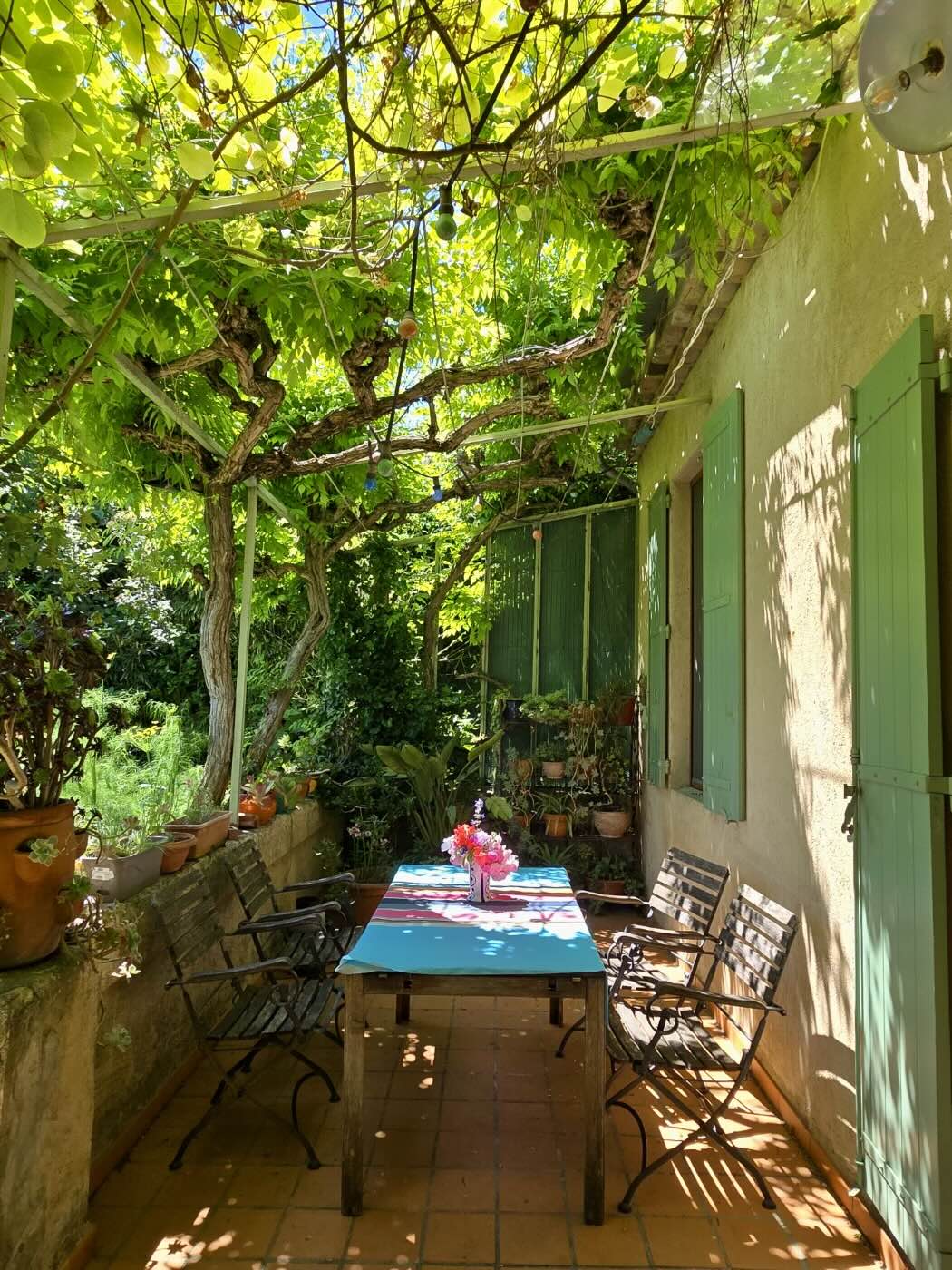 Terrace